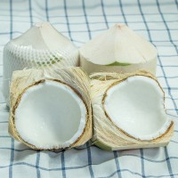 海墾果業 海南椰青新鮮特產椰子6個/9個裝
