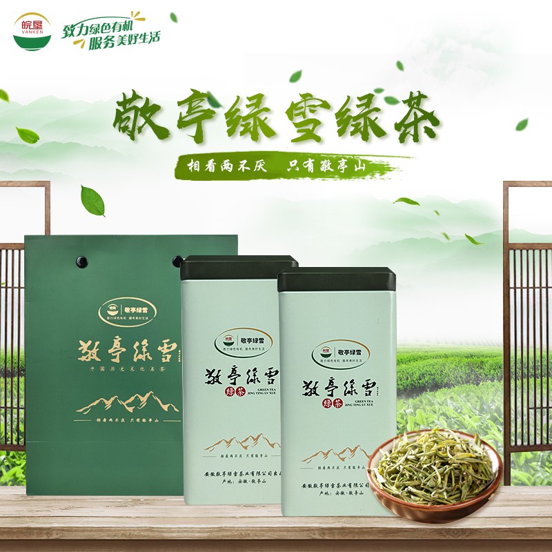 皖墾敬亭綠雪綠茶2021年一級新茶鮮嫩芽葉50g/罐
